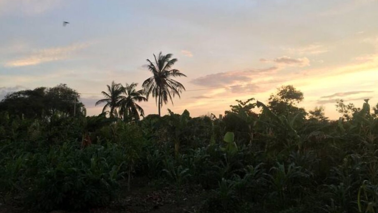 Photo of Others in Samana