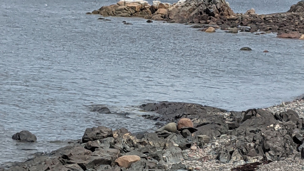 Photo of Others in Little Burnt Bay