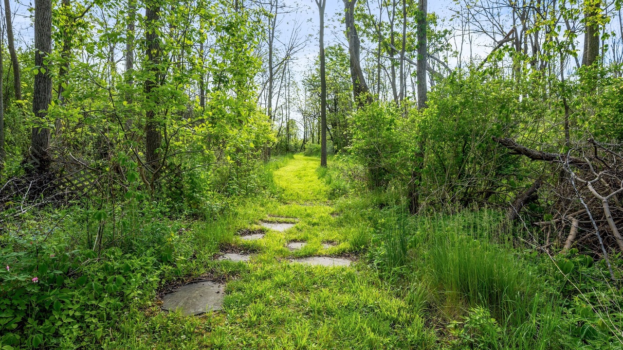 Photo of Others in Canandaigua