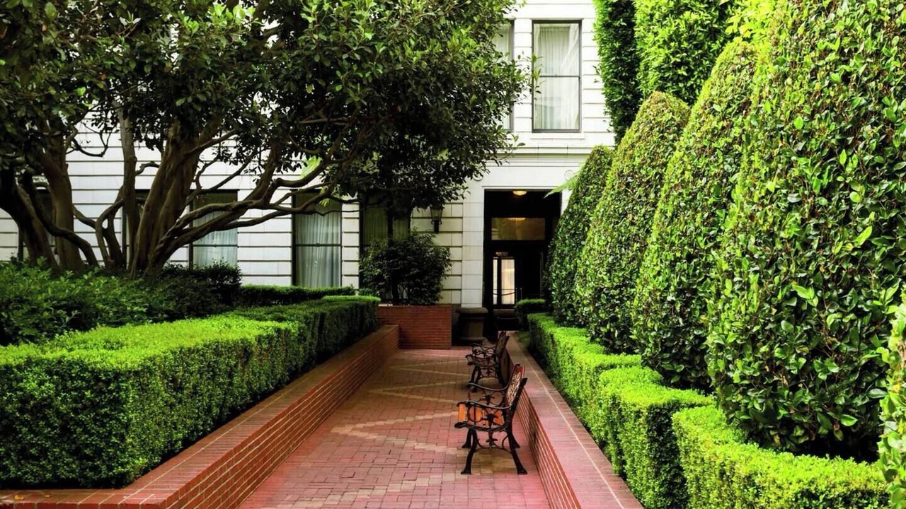 Photo of Outdoor in Downtown San Francisco