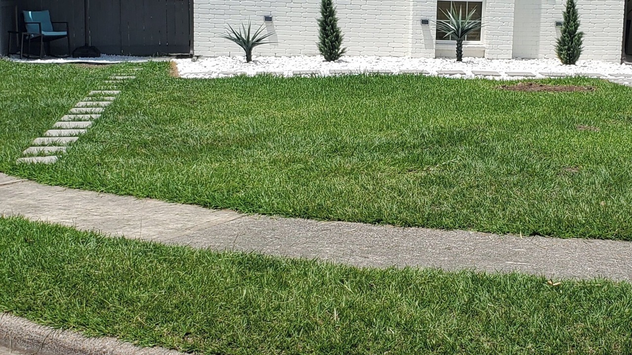 Photo of Outdoor in Spring