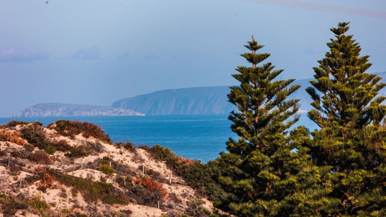 Photo of Others in Goolwa Beach