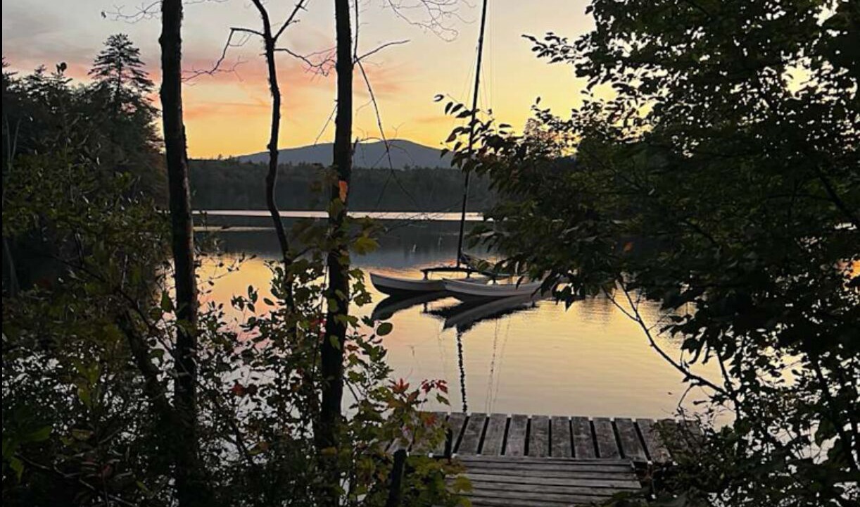 Photo of Others in Old Homosassa