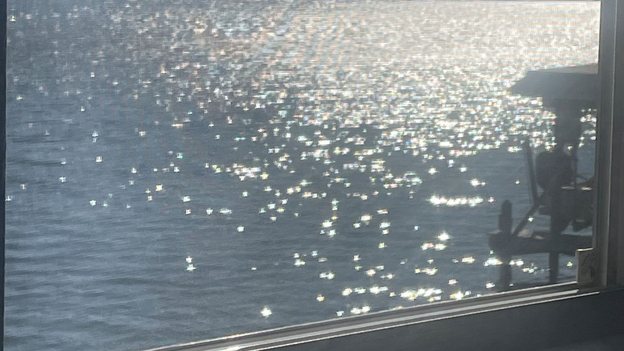 Photo of Others in Old Homosassa