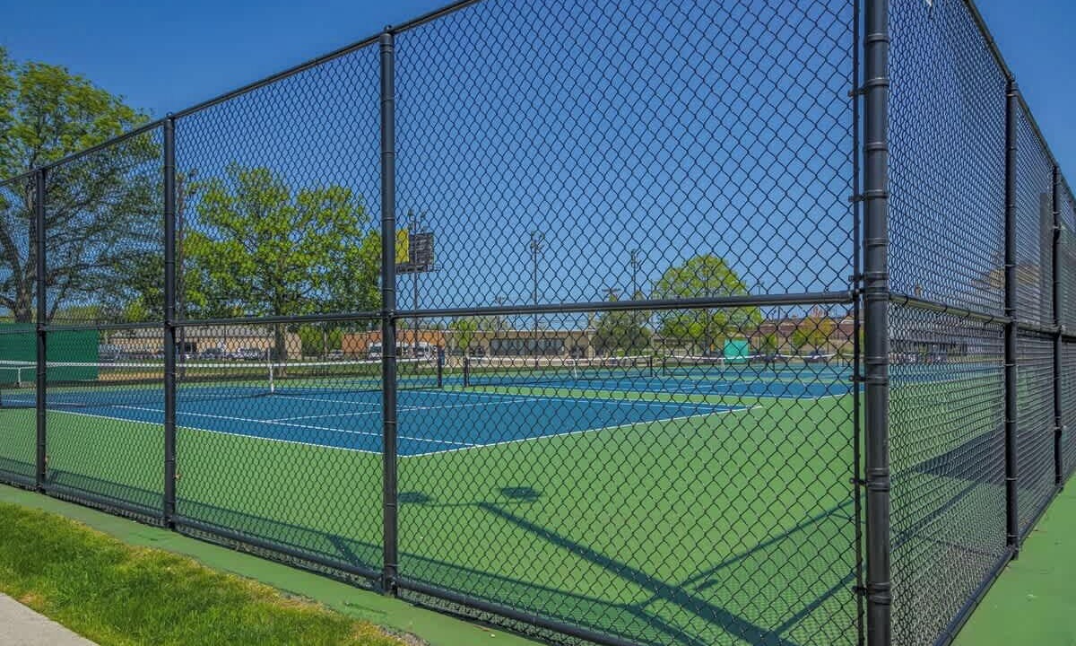 Photo of Others in Forest Park