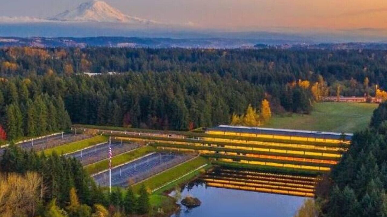 Photo of Outdoor in Federal Way