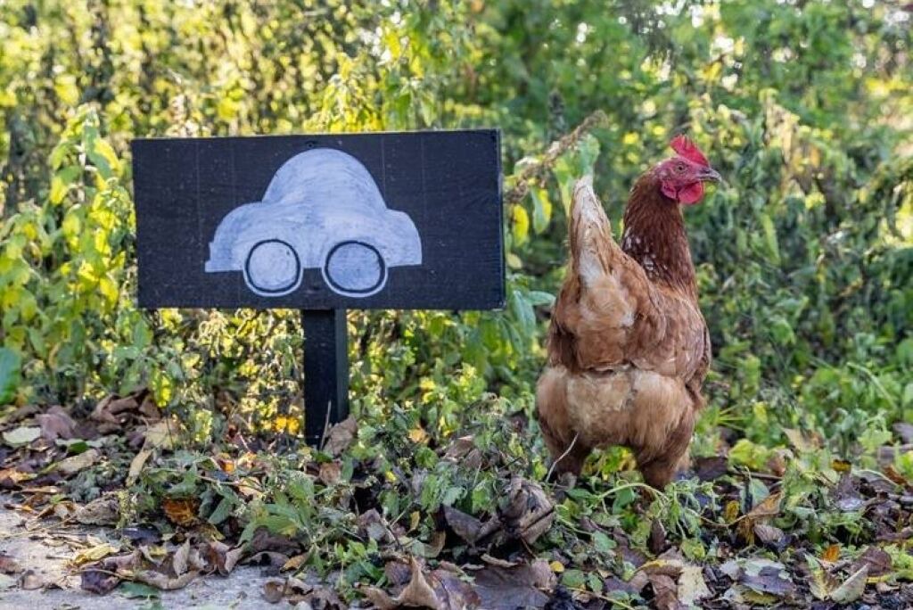 Photo of Others in Woodbridge