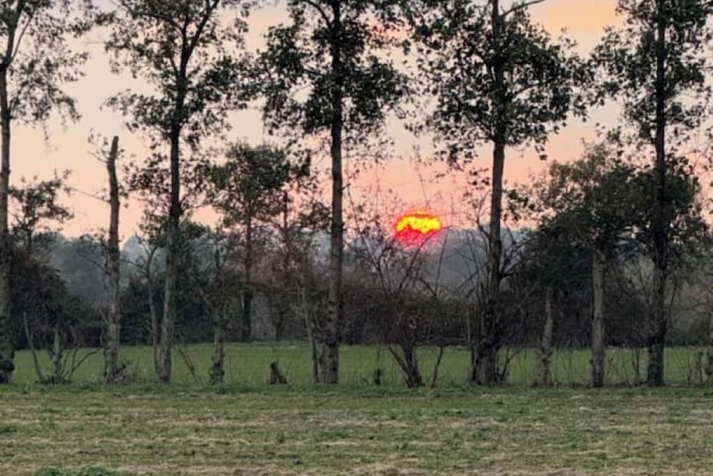 Photo of Others in Woodbridge