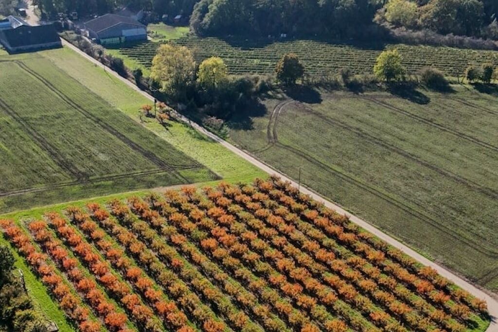 Photo of Outdoor in Woodbridge