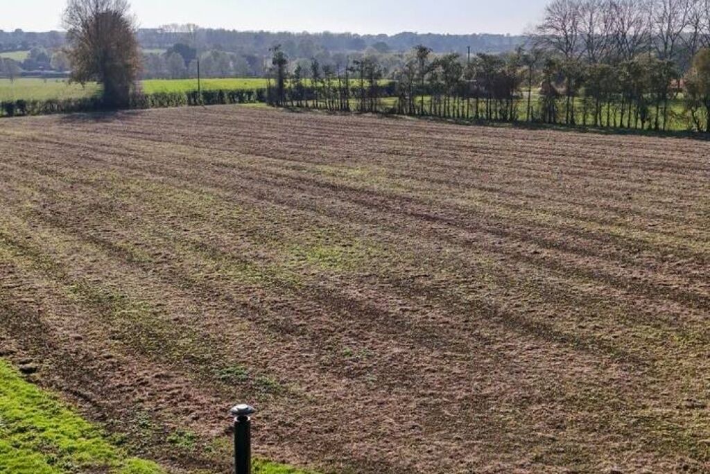 Photo of Others in Woodbridge