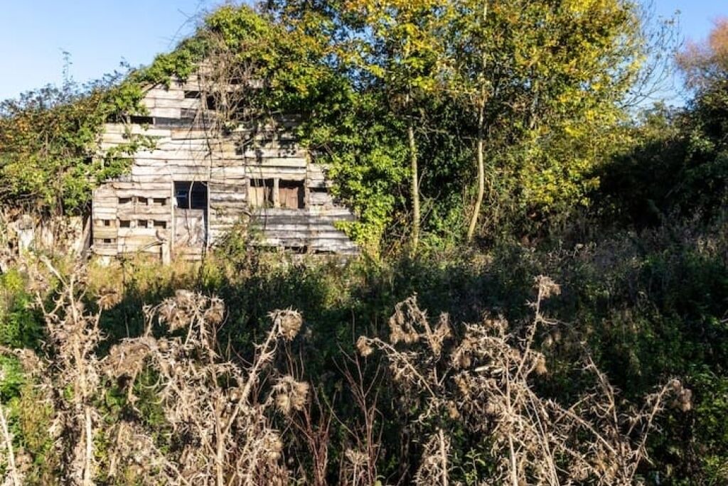 Photo of Outdoor in Woodbridge