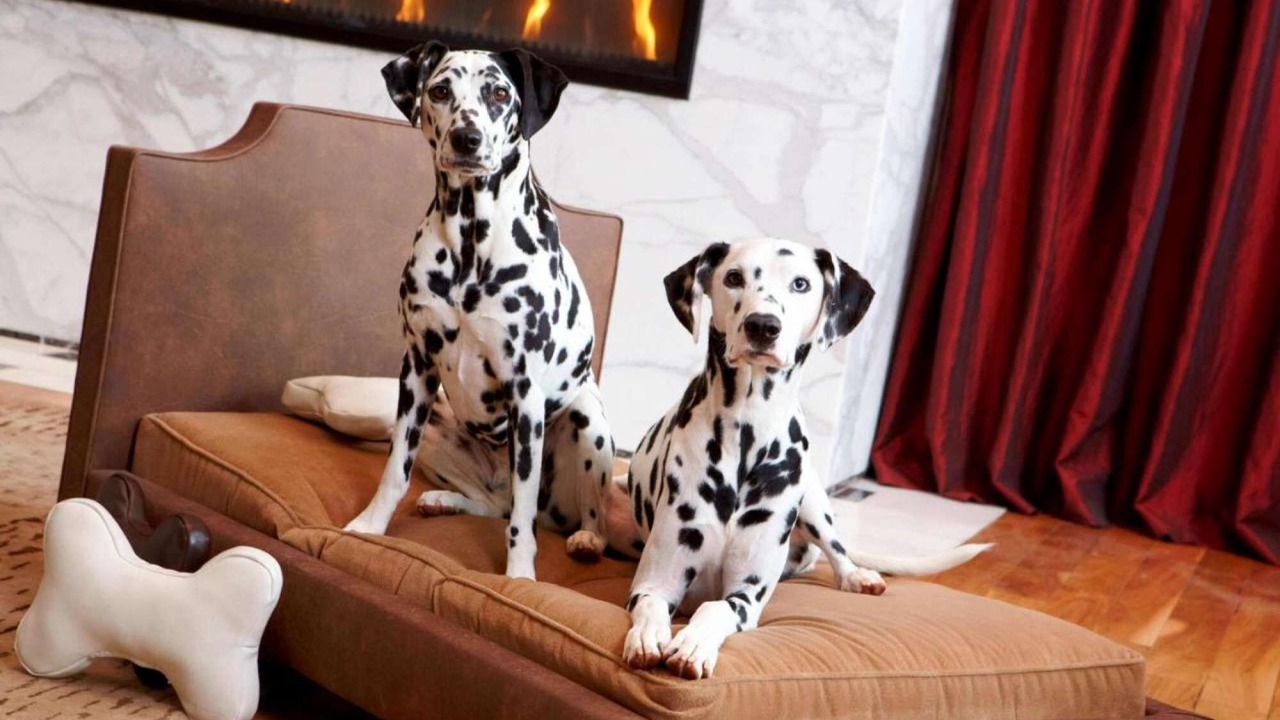 Photo of Livingroom in Midtown