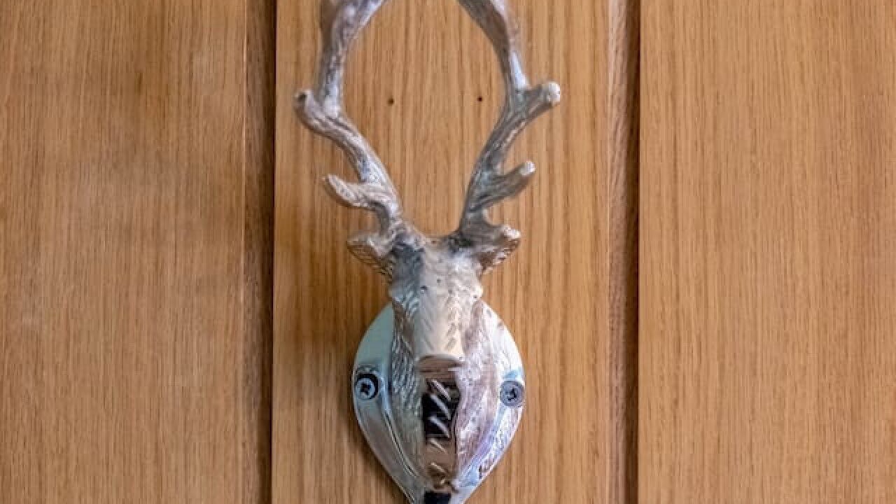 Photo of Others in Thurso