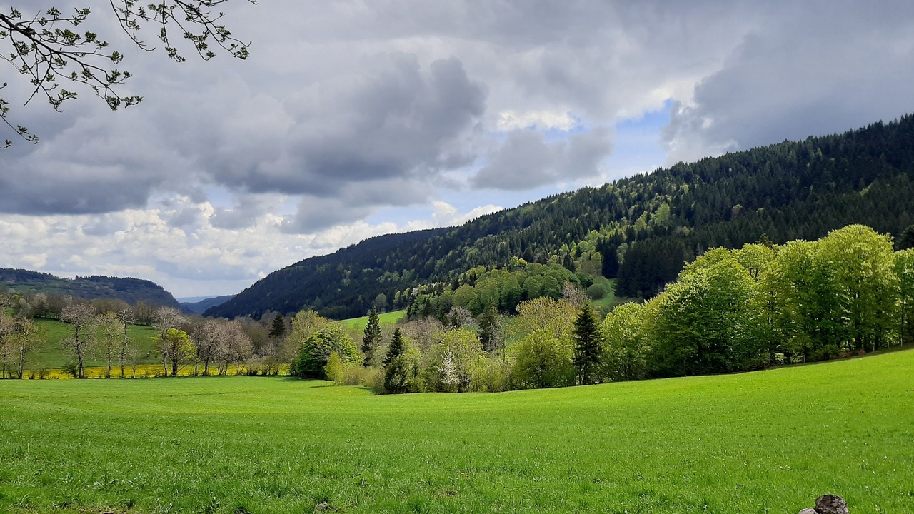 Photo of Others in Ruynes-en-Margeride