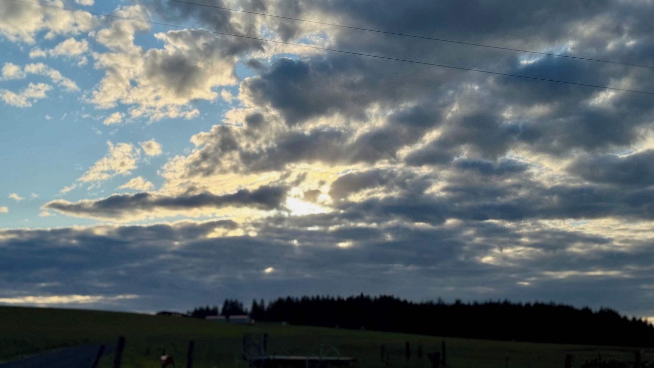 Photo of Others in Harvard