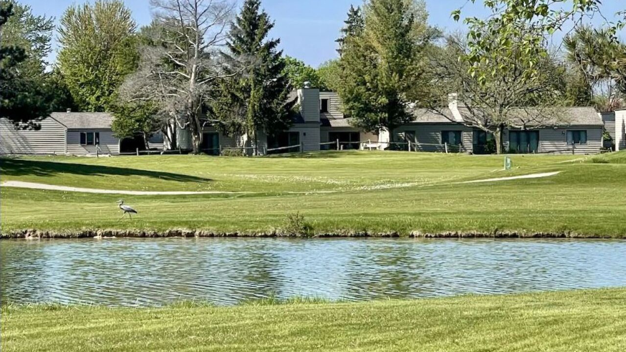 Photo of Outdoor in Bay City