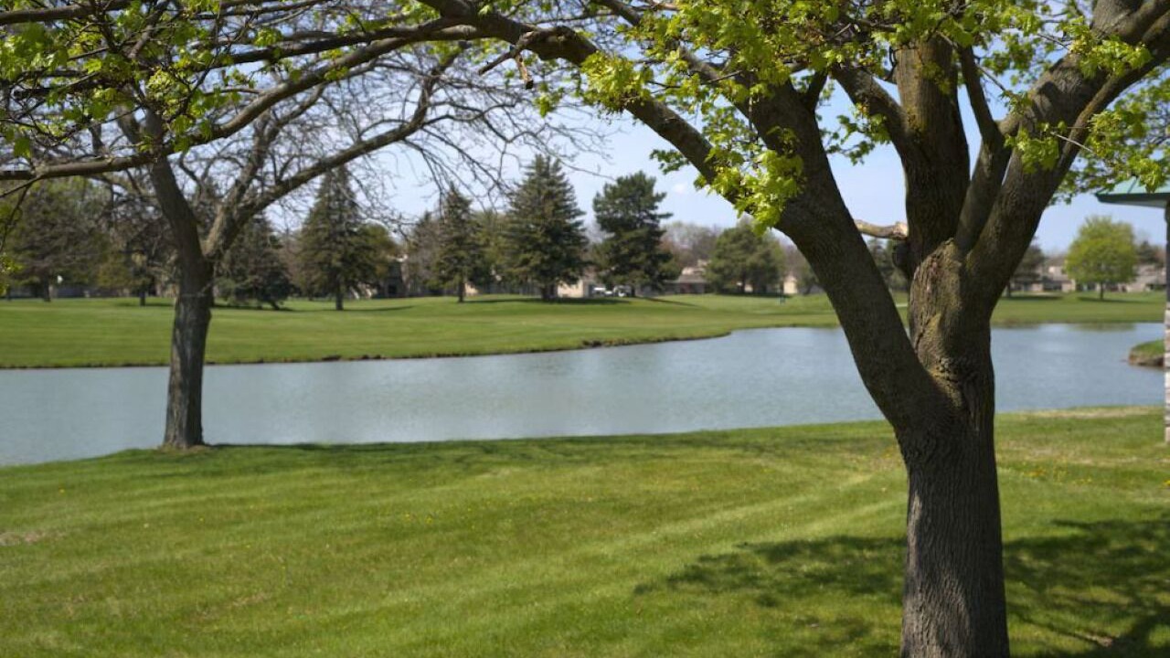 Photo of Others in Bay City