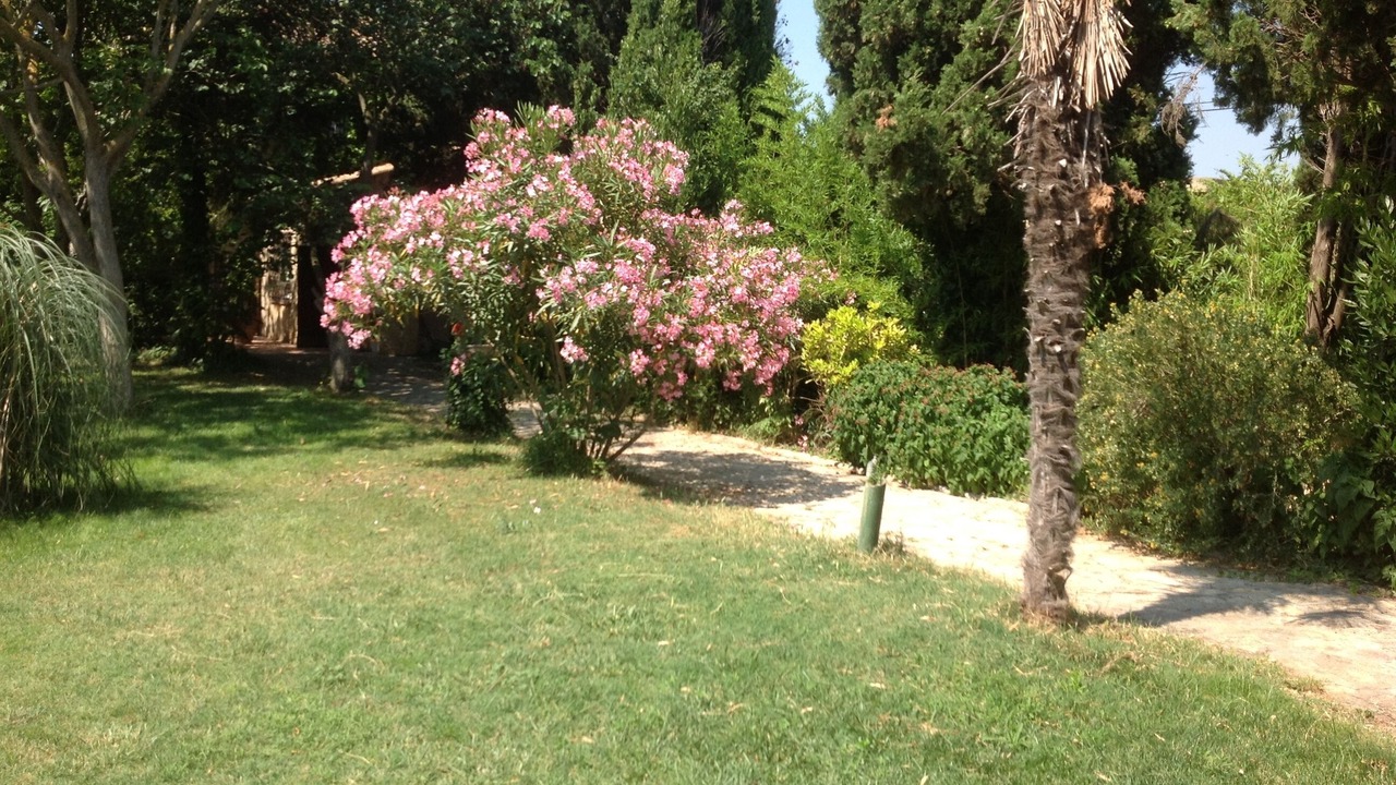 Photo of Outdoor in Narbonne