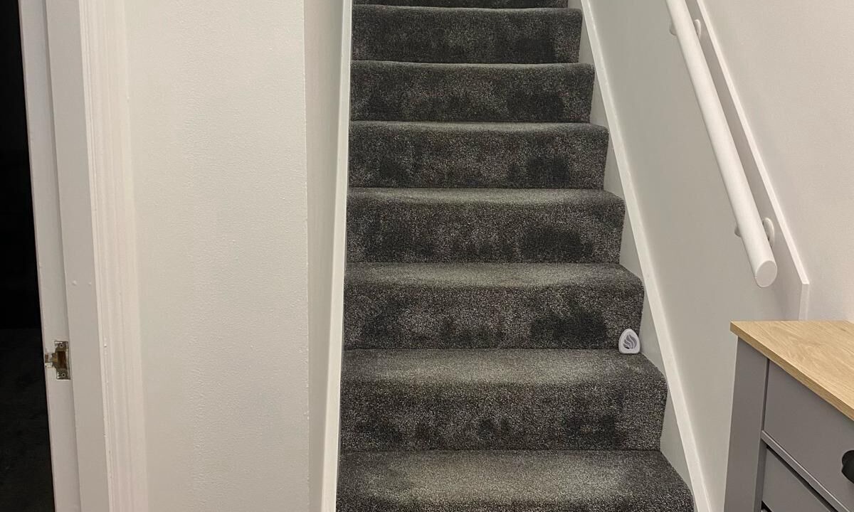 Photo of Others in Airdrie