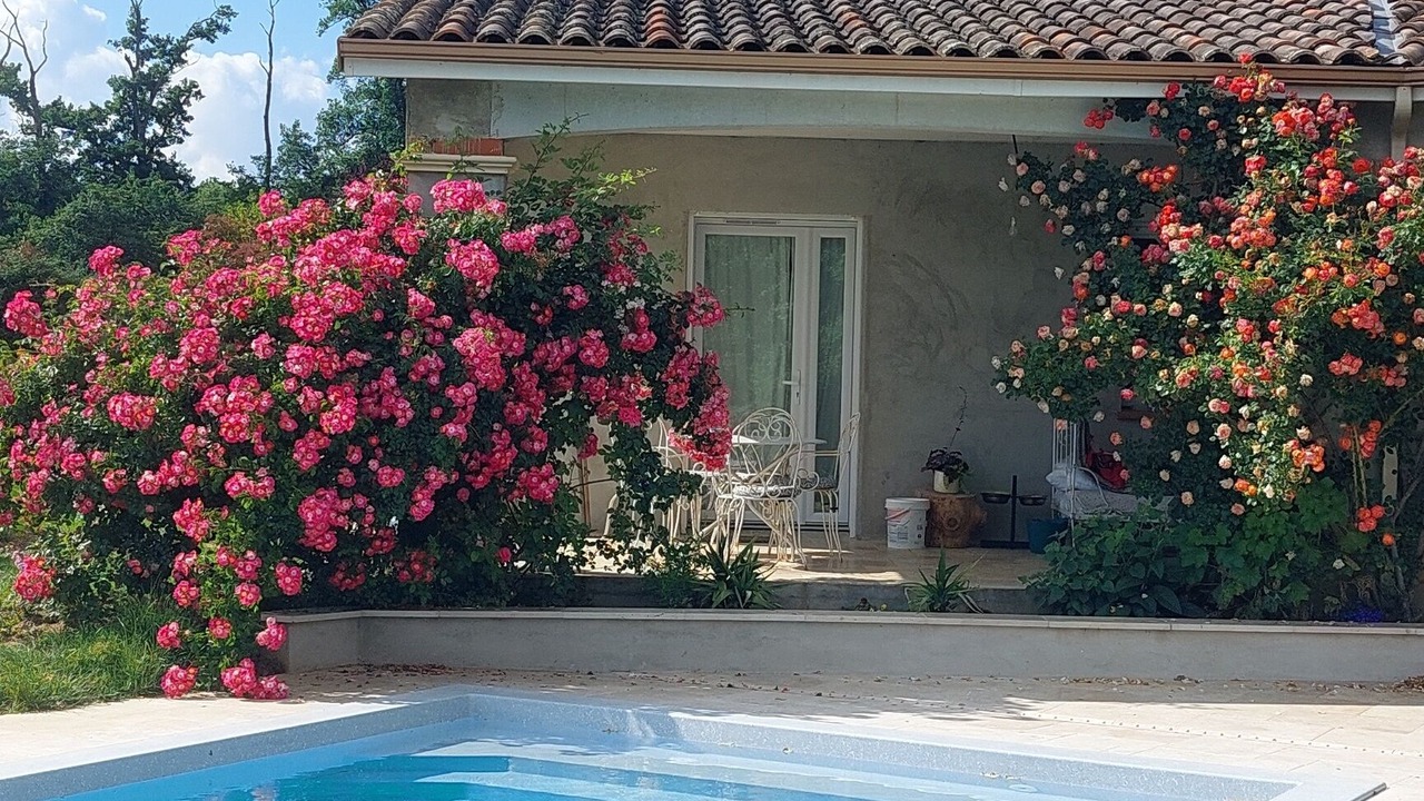 Photo of Outdoor in Lafrancaise
