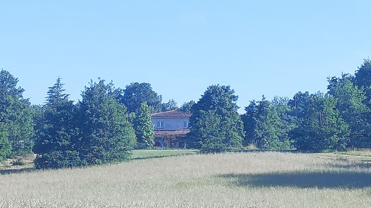 Photo of Others in Lafrancaise