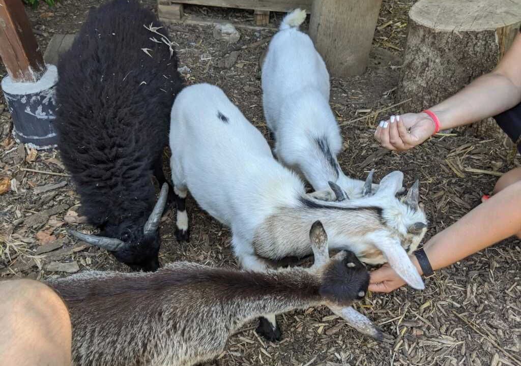 Photo of Others in Verruyes