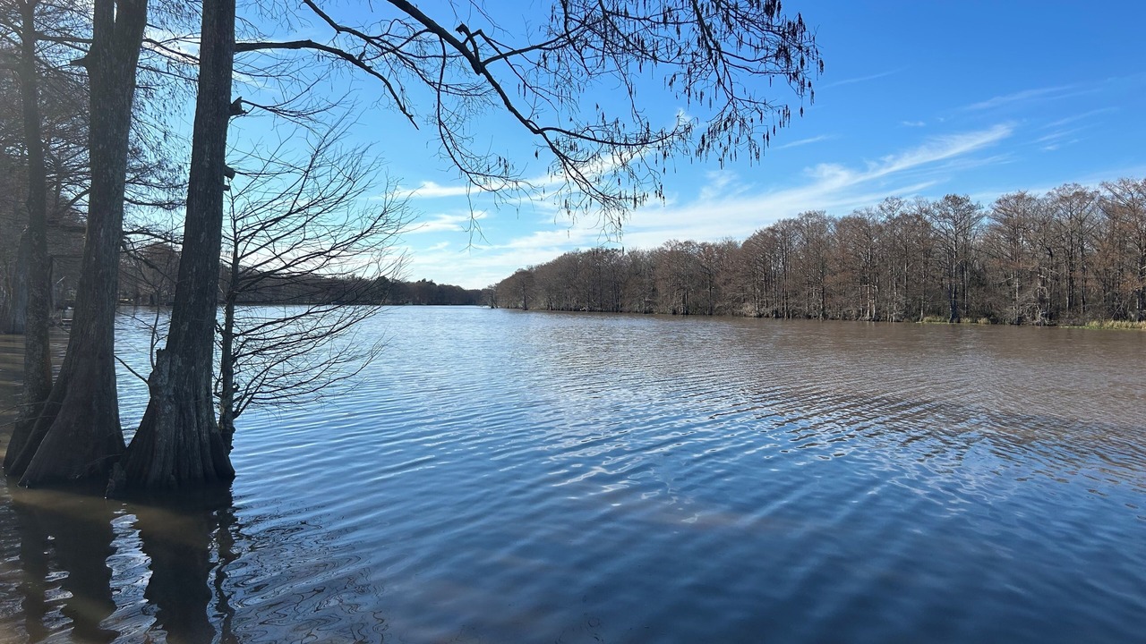 Photo of Outdoor in Mansura
