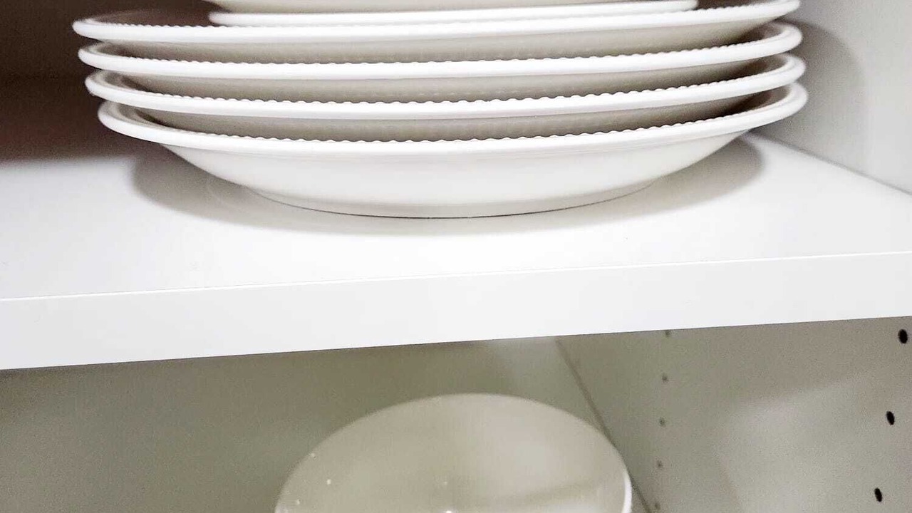 Photo of Others in Halifax