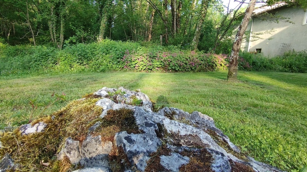 Photo of Outdoor in Montels