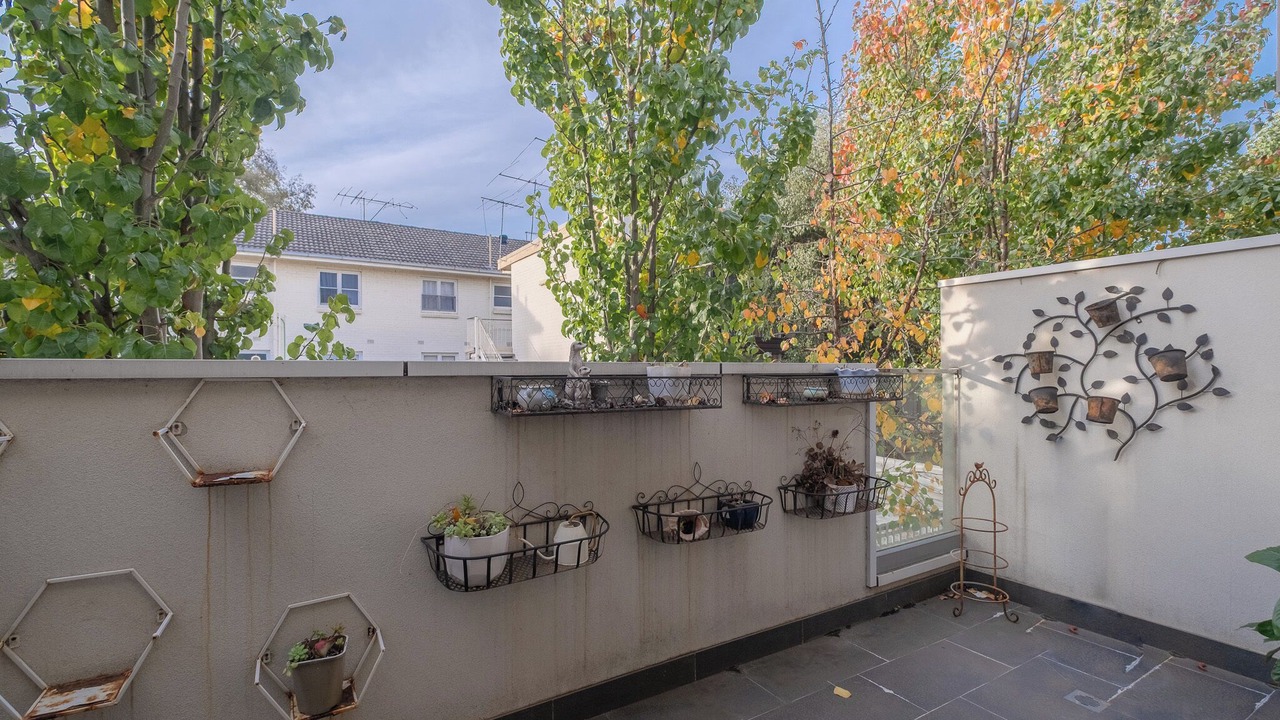 Photo of Outdoor in Hawthorn