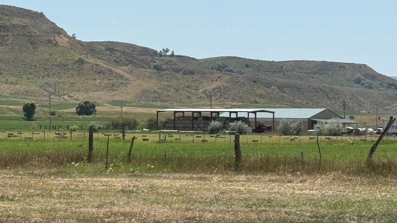 Photo of Others in Preston