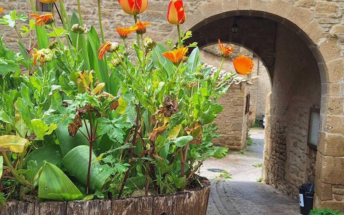 Photo of Outdoor in Artariain