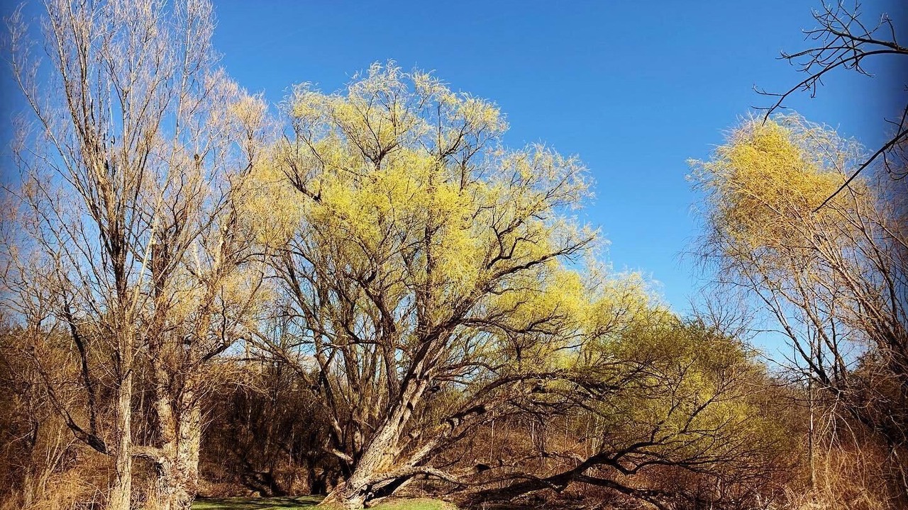 Photo of Others in Coxsackie