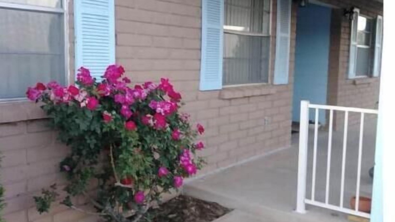 Photo of Outdoor in Cochise