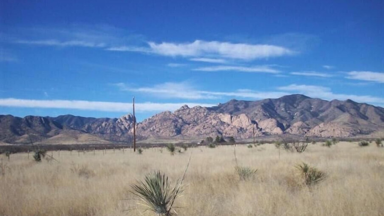 Photo of Others in Cochise