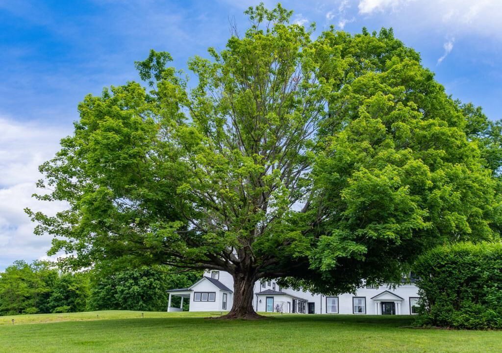 Photo of Outdoor in Chautauqua