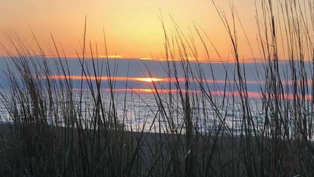 Photo of Others in Grand Bend