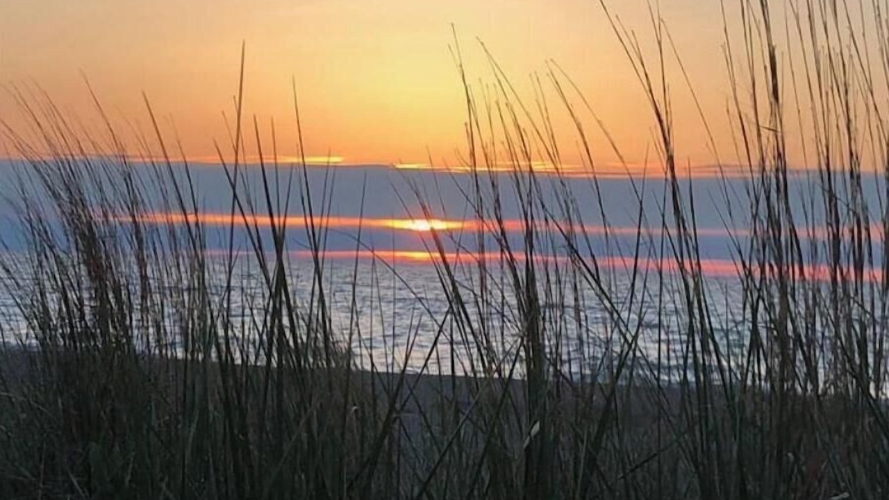 Photo of Others in Grand Bend