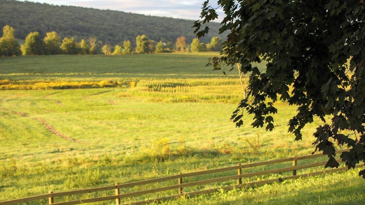 Photo of Others in Cocolamus