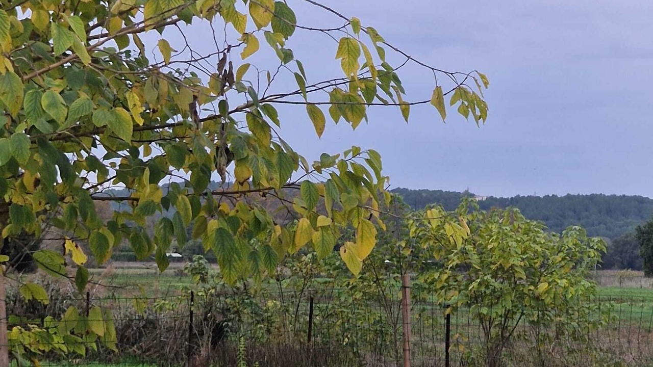 Photo of Outdoor in Bedarrides