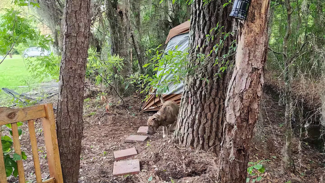 Photo of Outdoor in Brunswick