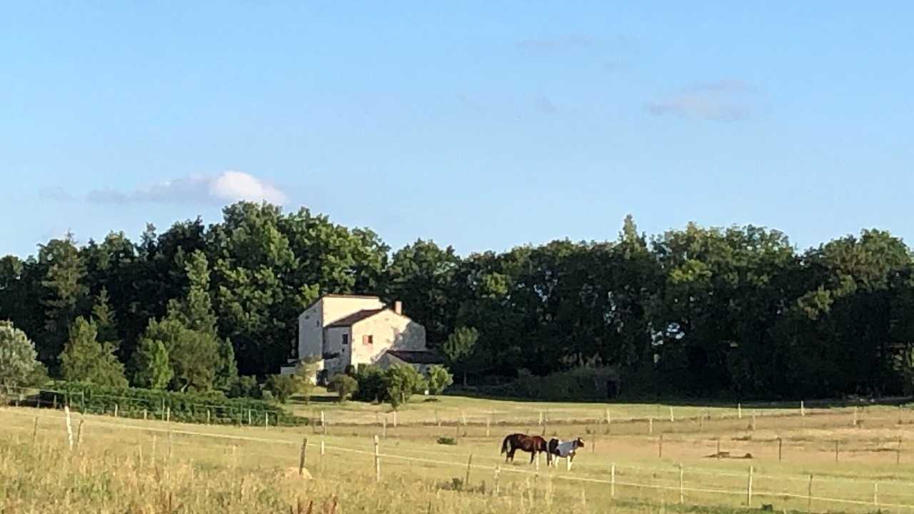 Photo of Others in Montcuq