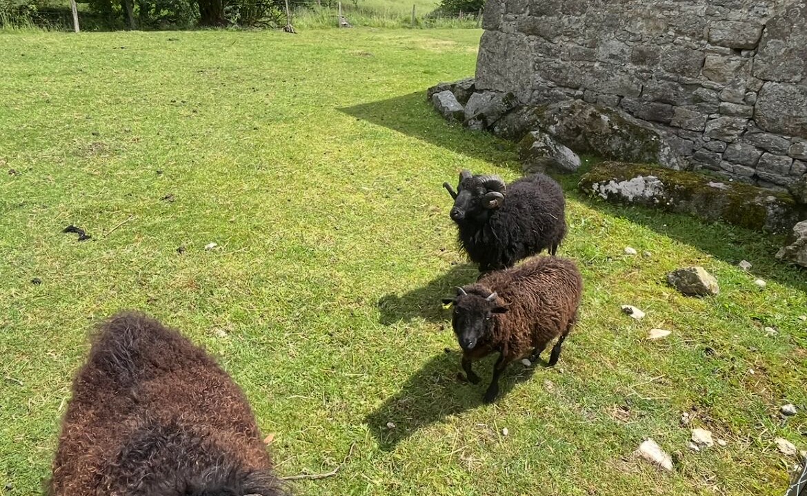 Photo of Others in Kerien