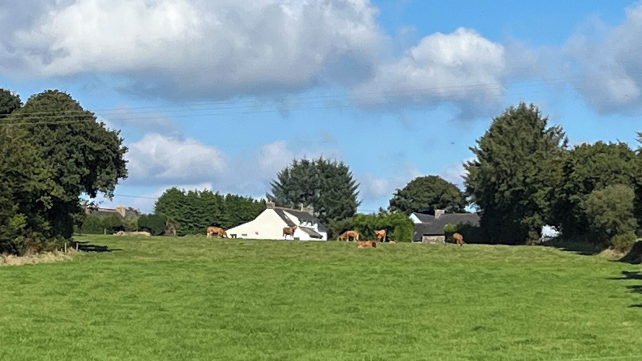 Photo of Others in Kerien