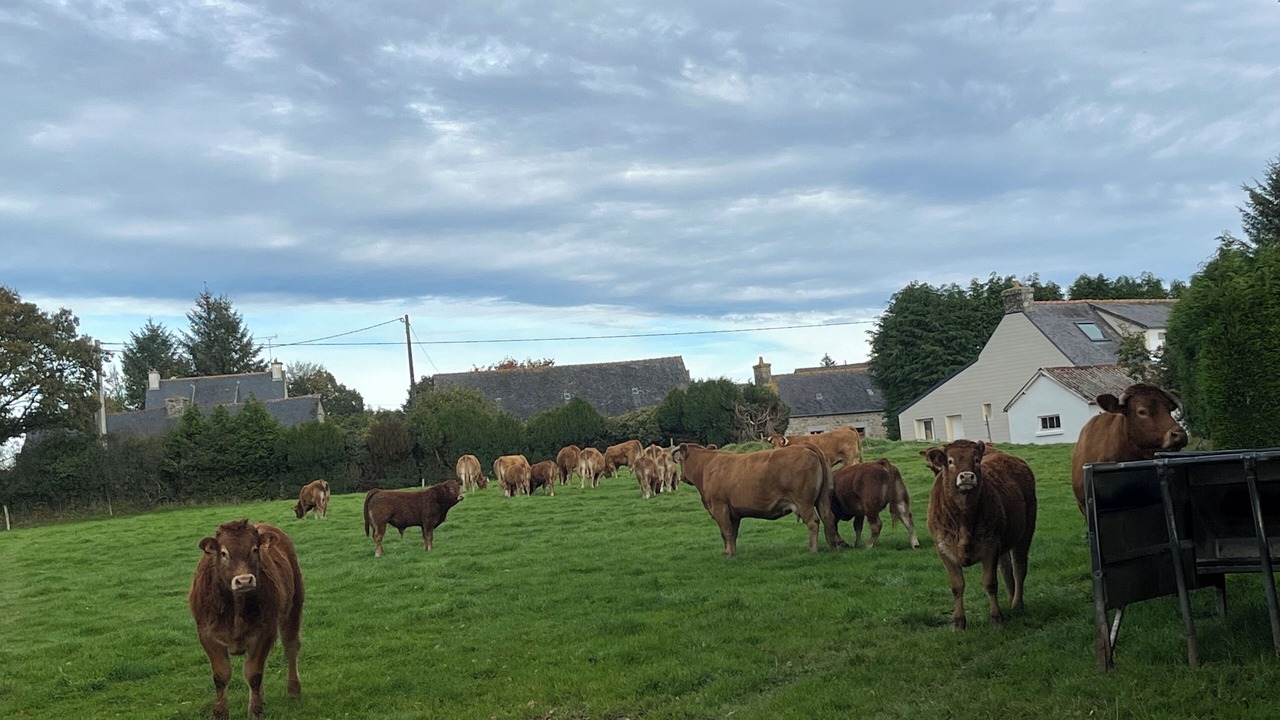 Photo of Others in Kerien