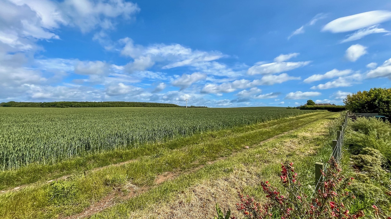 Photo of Others in Montrose