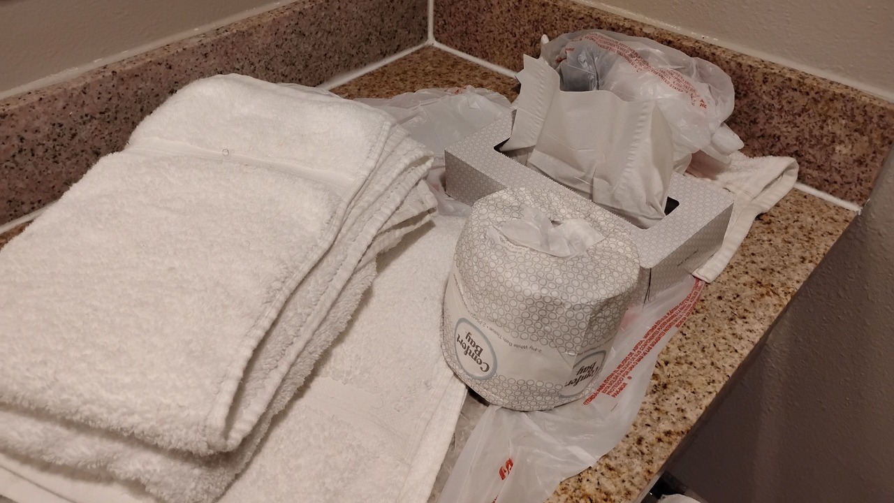 Photo of Bathroom in Clodine