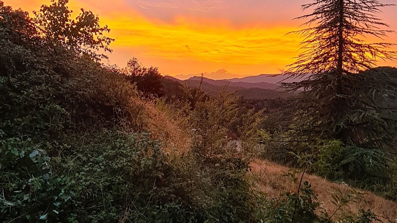 Photo of Others in Saint-Paul-la-Coste