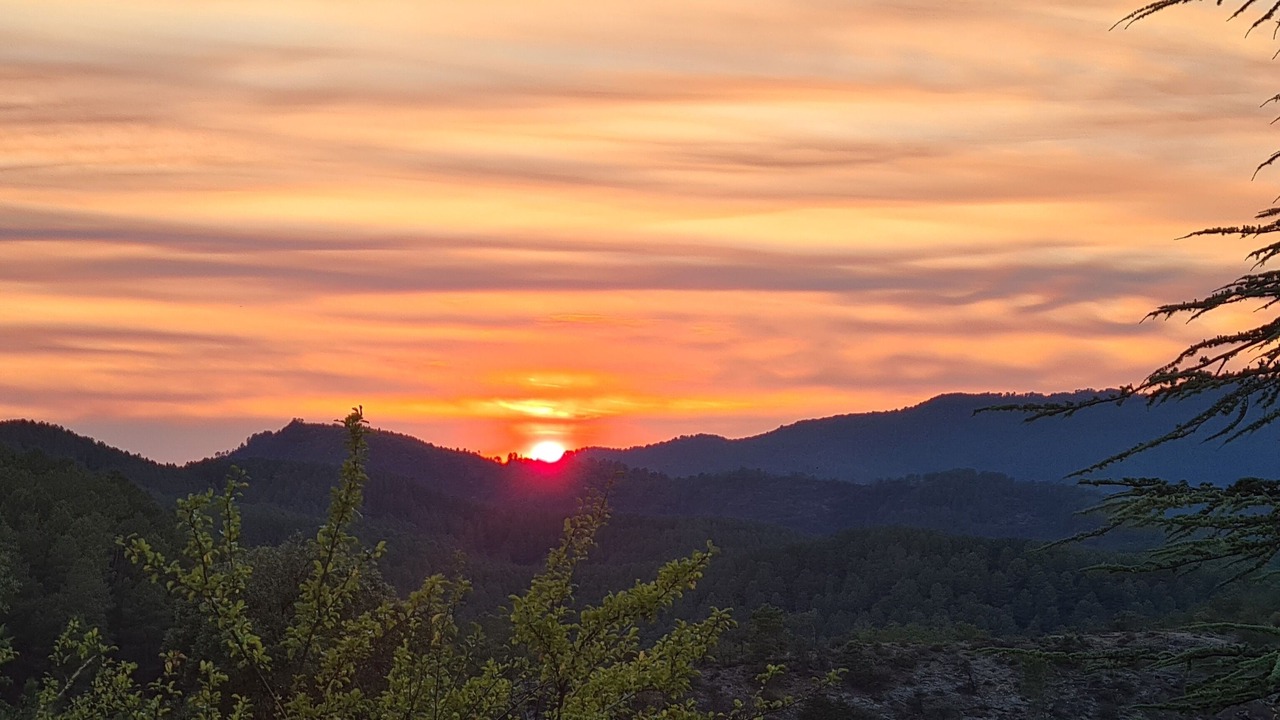 Photo of Others in Saint-Paul-la-Coste