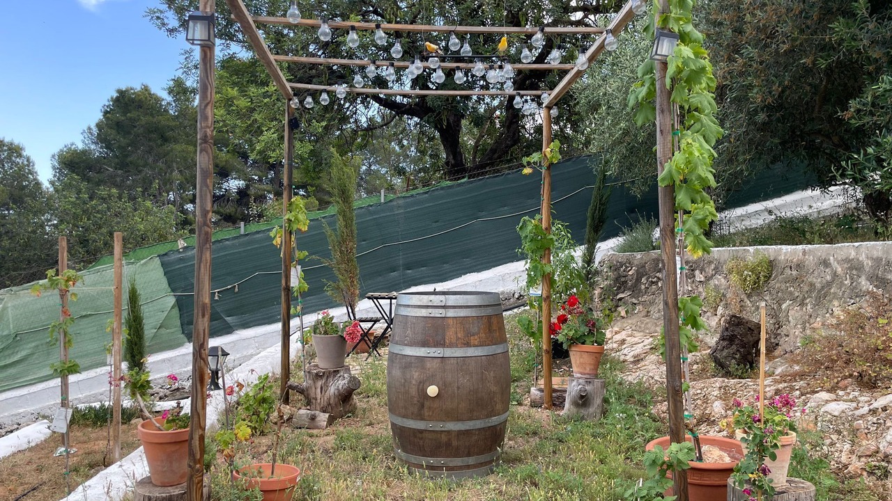 Photo of Outdoor in Carlet